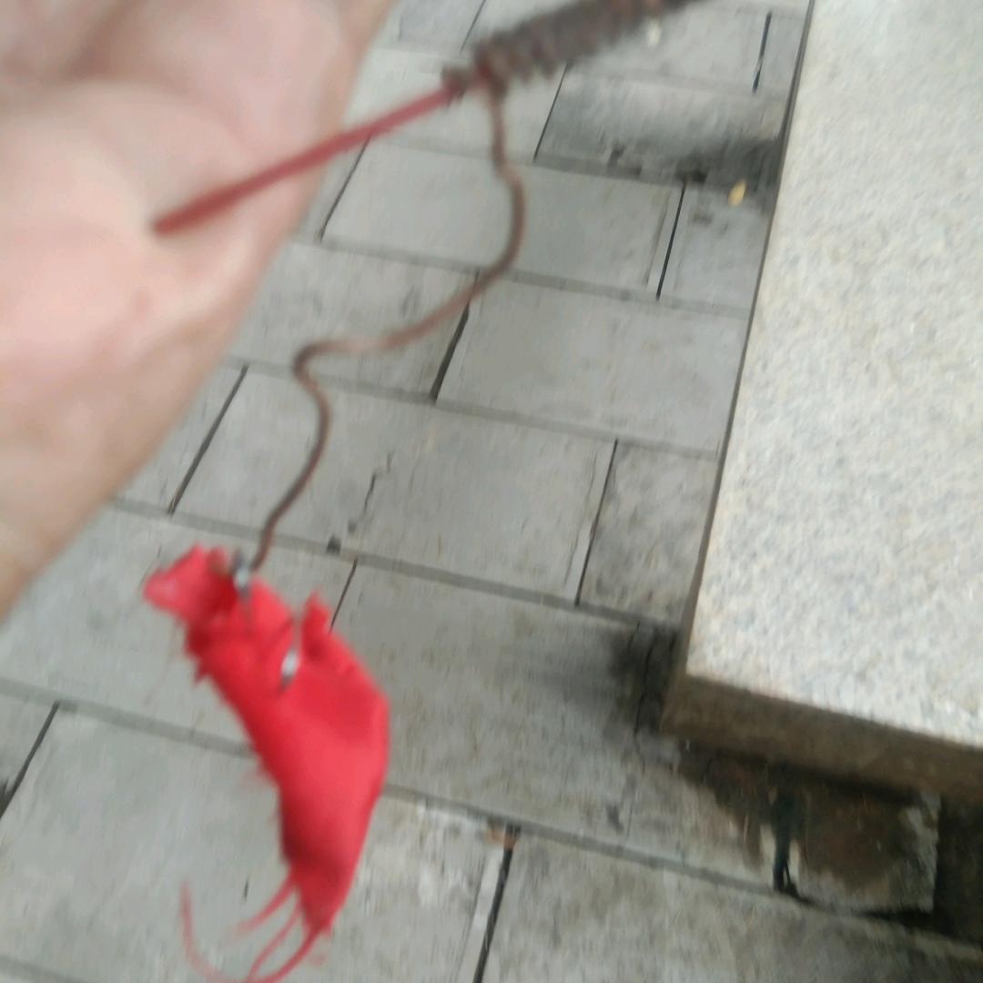 阴师下凡为你灾