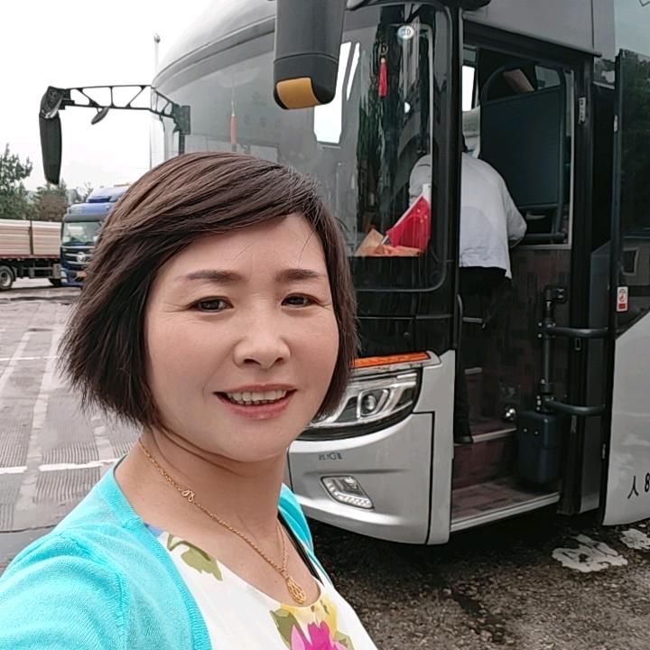 毛毛3