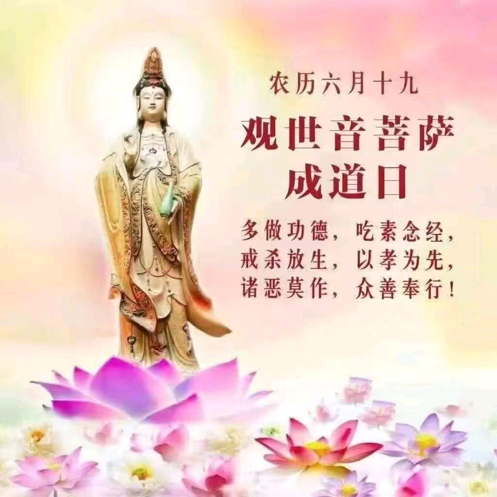 小鱼不想吃鱼