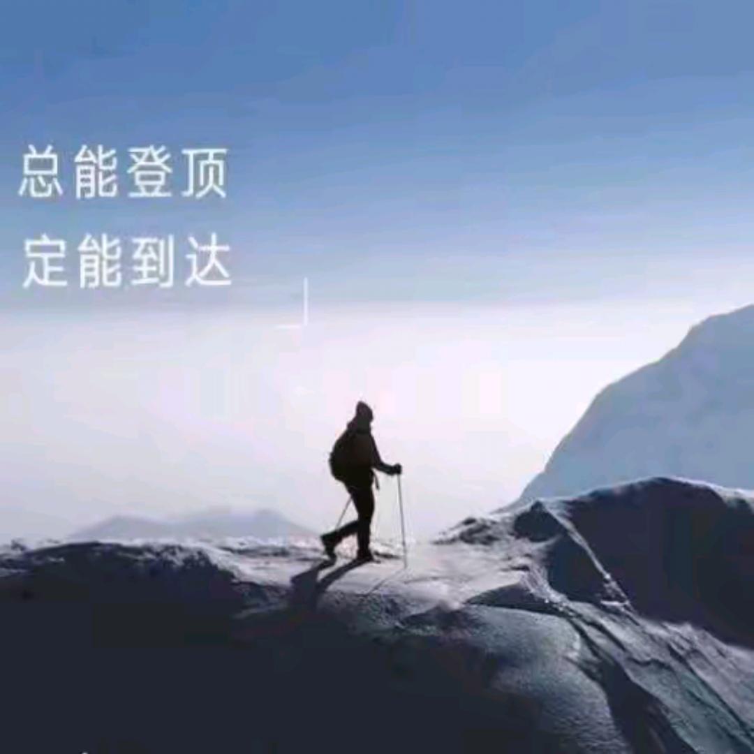 @胖胖吃不瘦ᴹᴸ💫