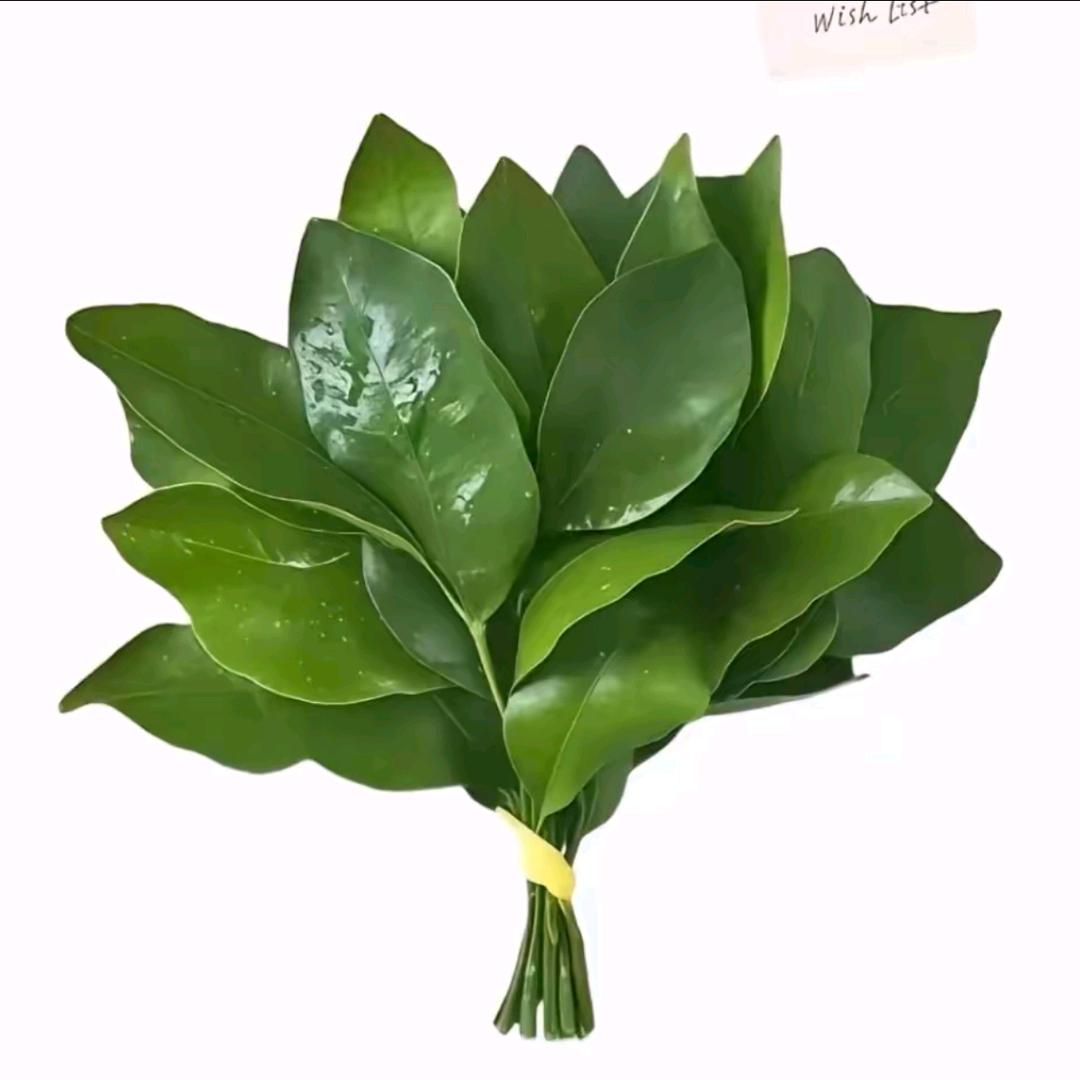 ✨好运在赶来✨