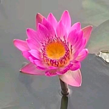是你让我不一样