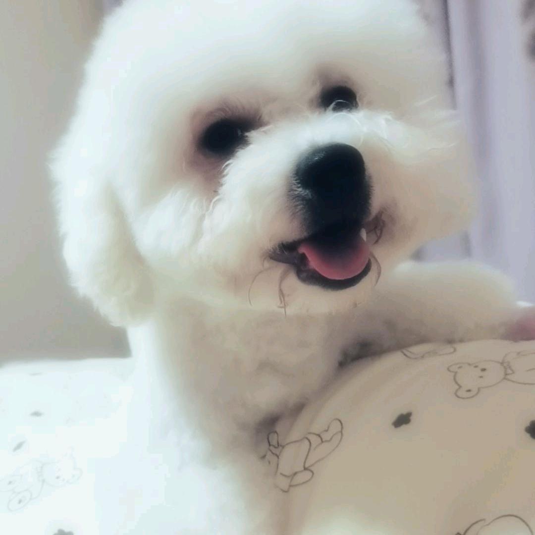 娇而不傲