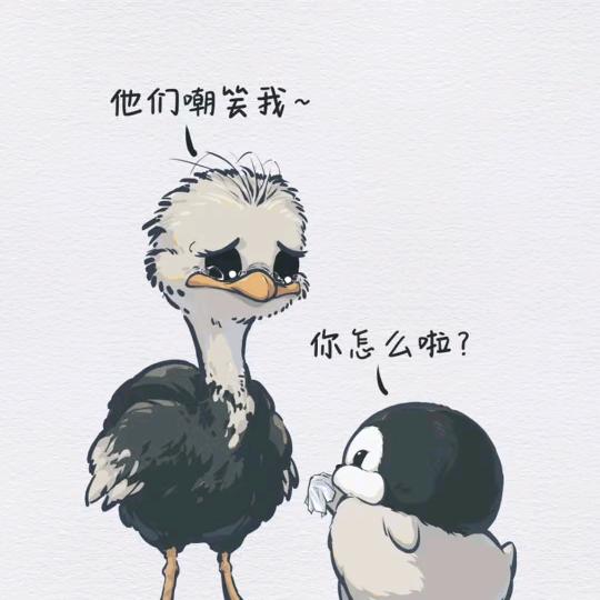 hello老五
