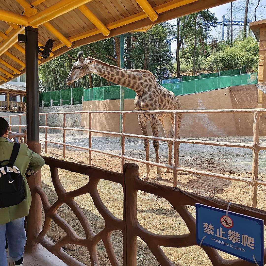 沐晨曦
