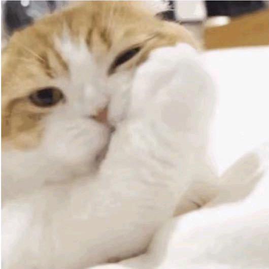 Ly