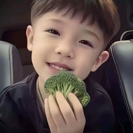 A强盛支架bipv水槽   于航