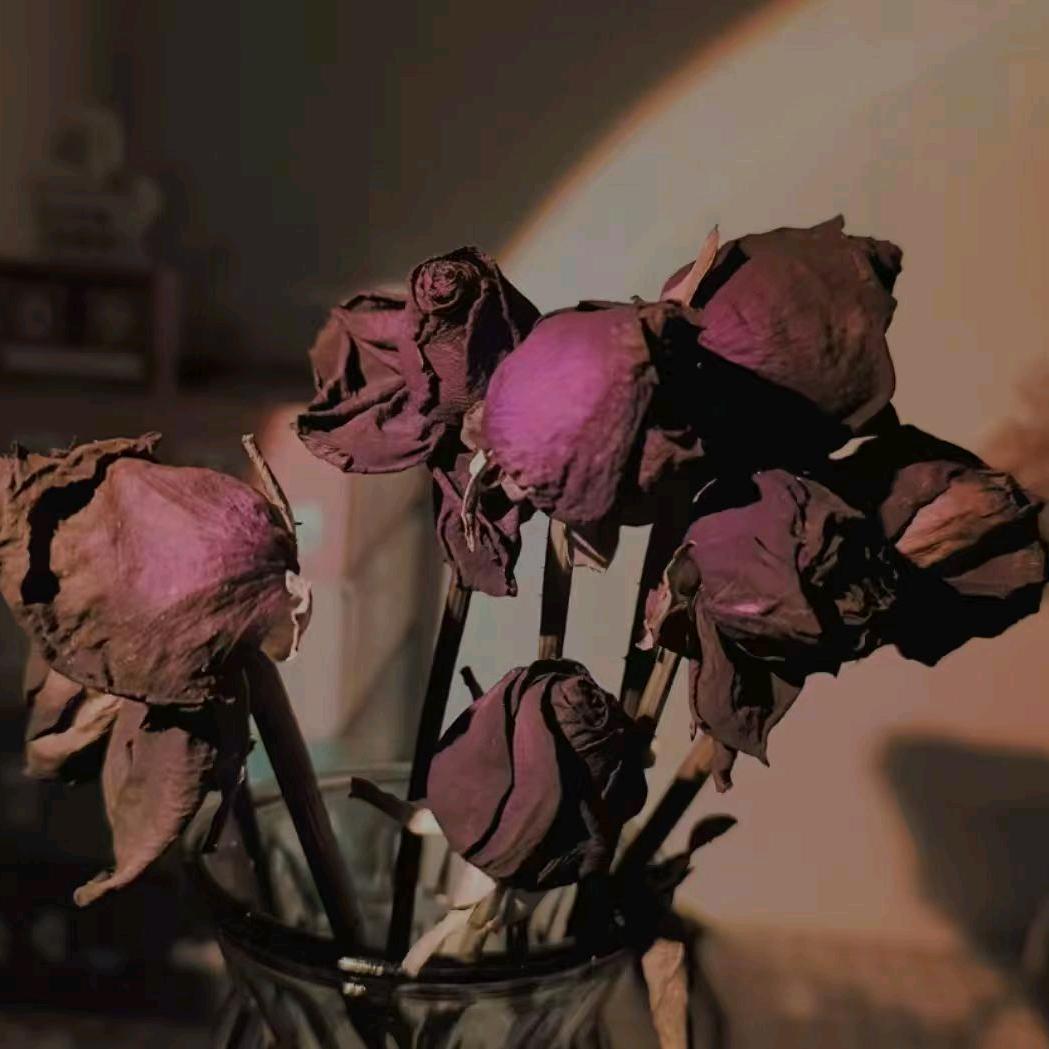 派大星的海绵宝宝