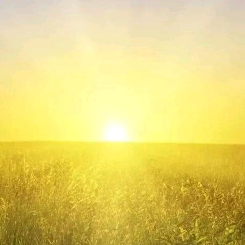 别算卦·半日仙