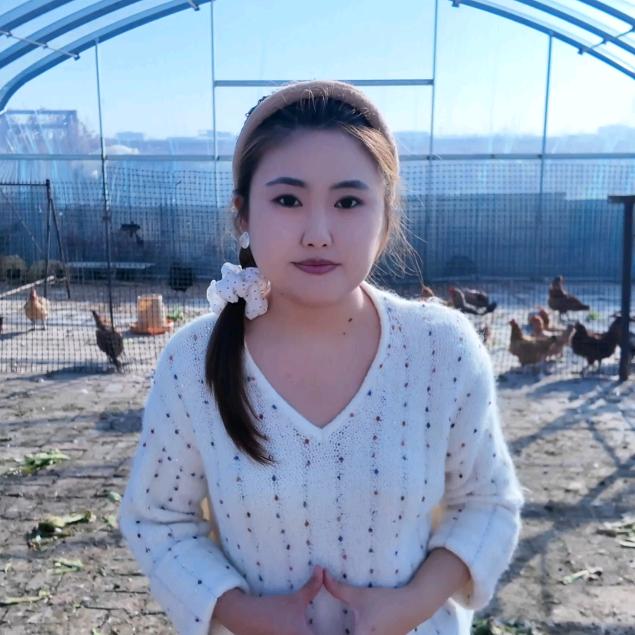 小李飞鸡也飞鹅