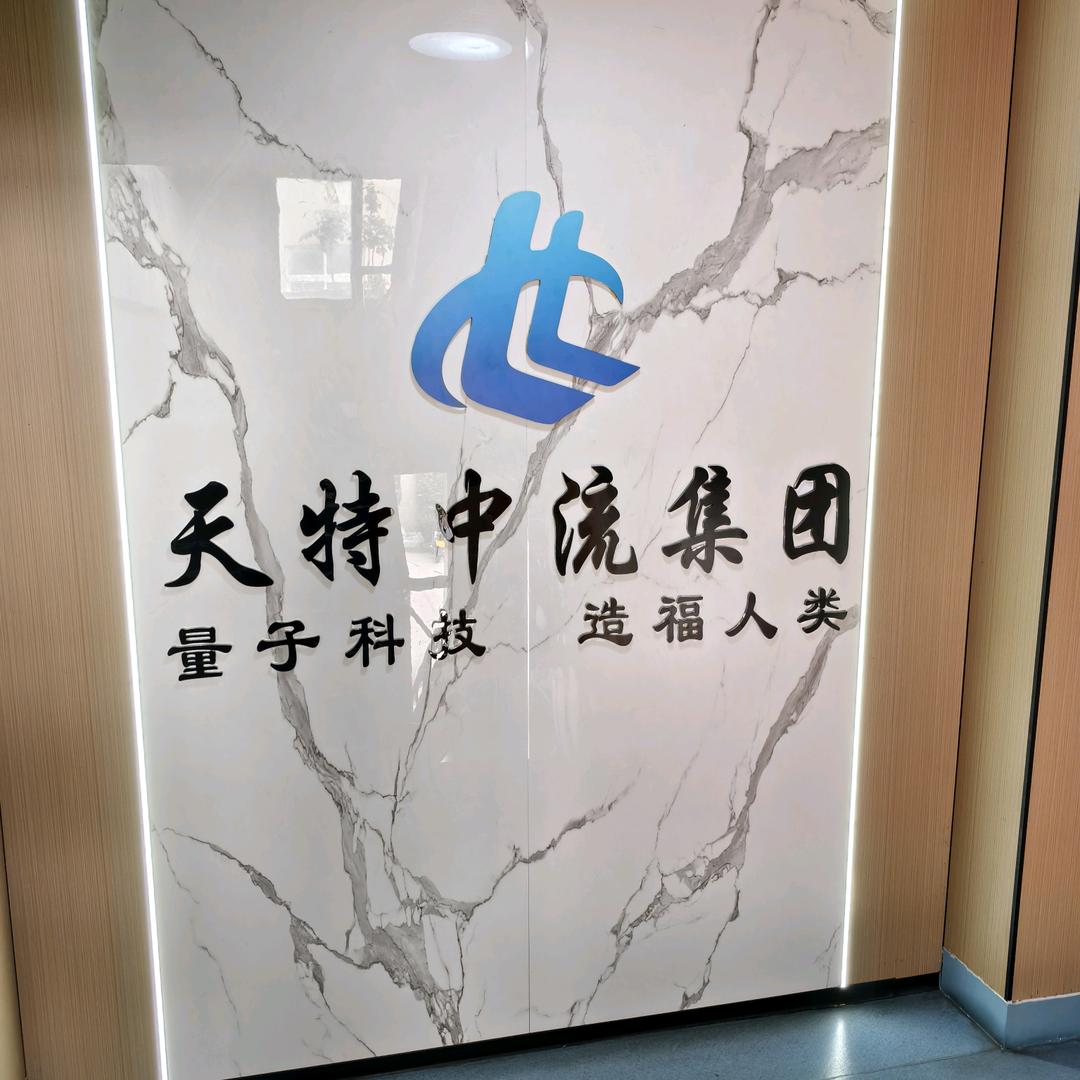 天特中流电场仪