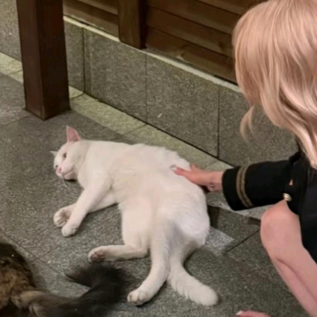 喜乐🌙.