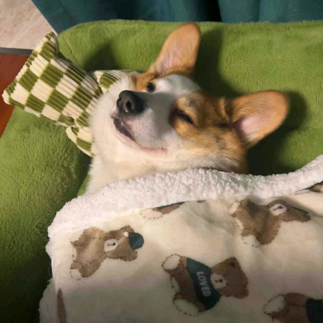 中考升学王老师