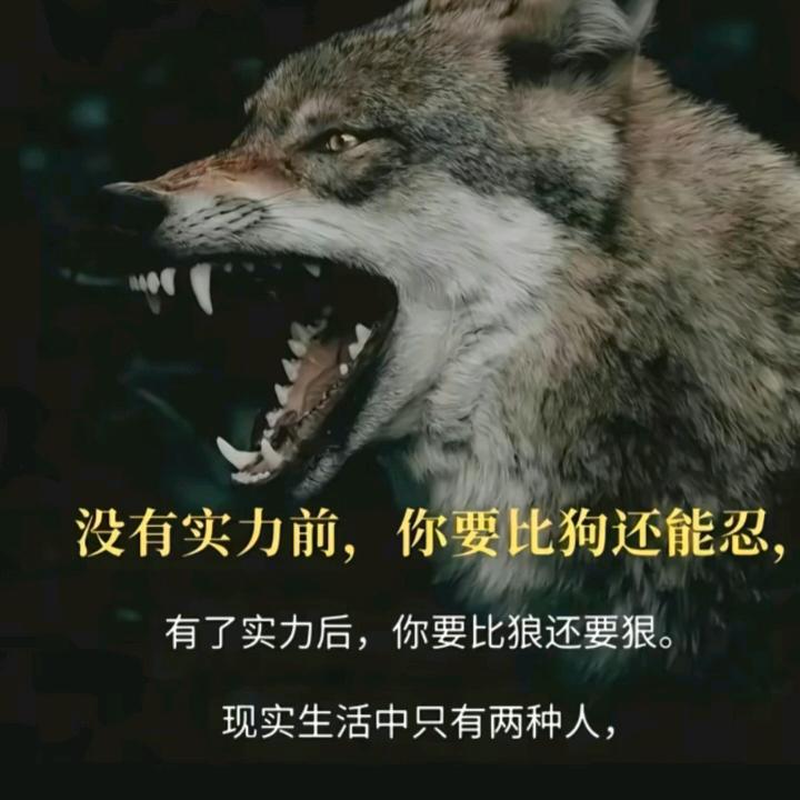 战狼