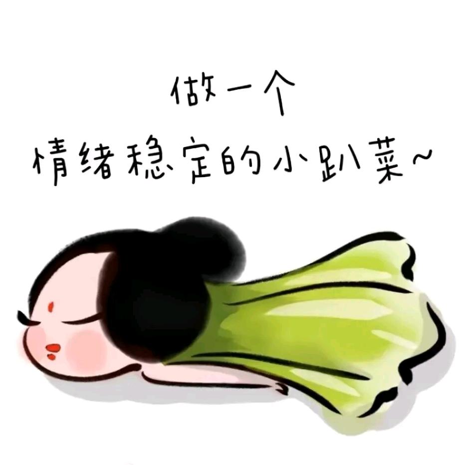 小趴菜
