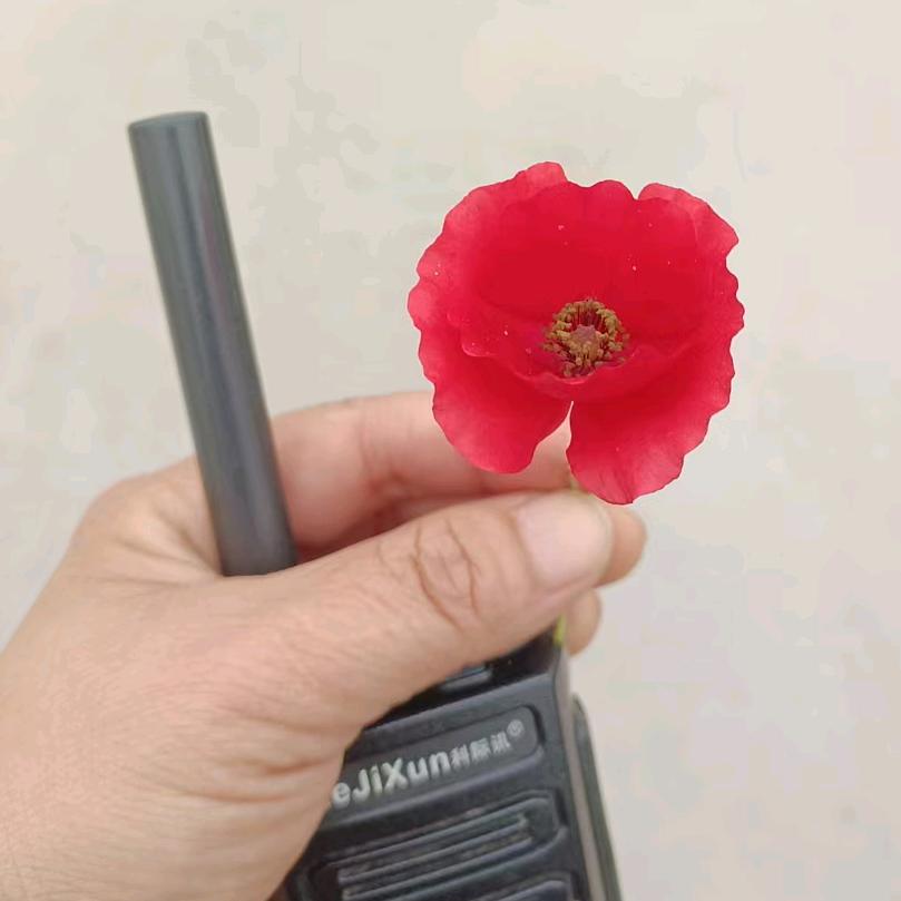 懂得珍惜，才会拥有