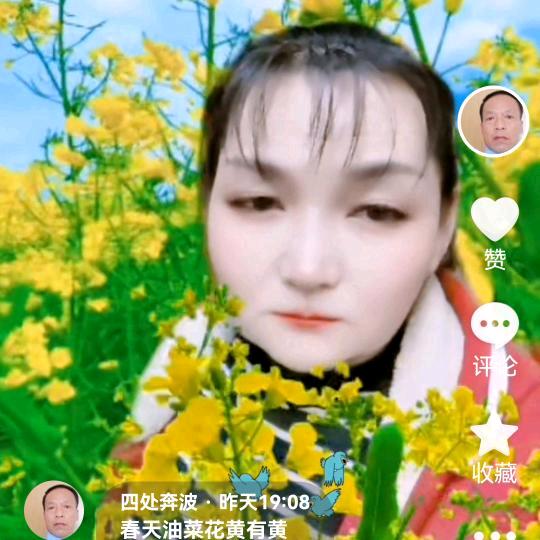 妙妙四处奔波