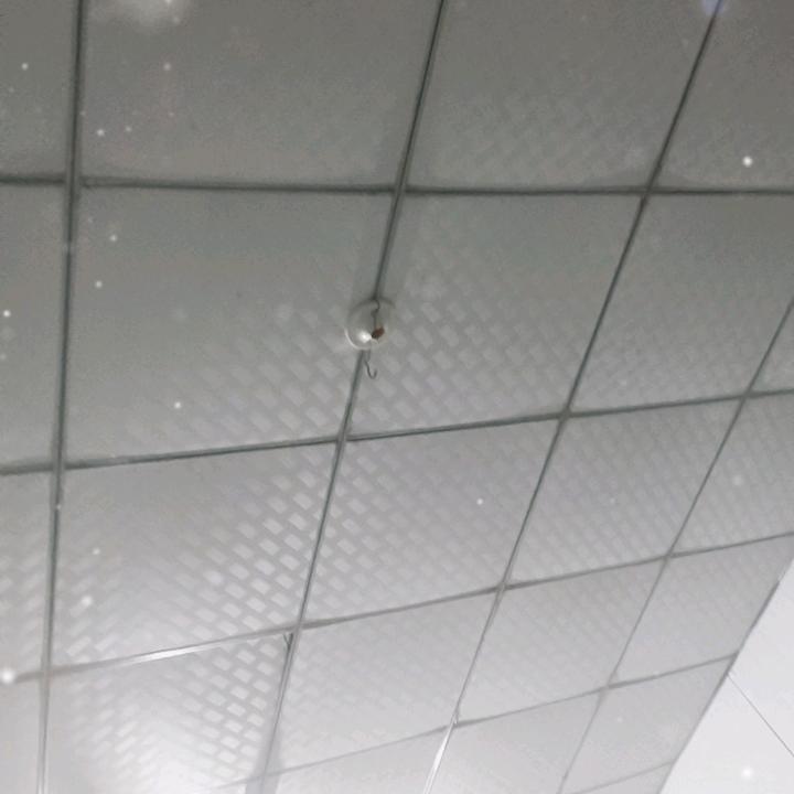 欢迎老公回家，大家欢迎