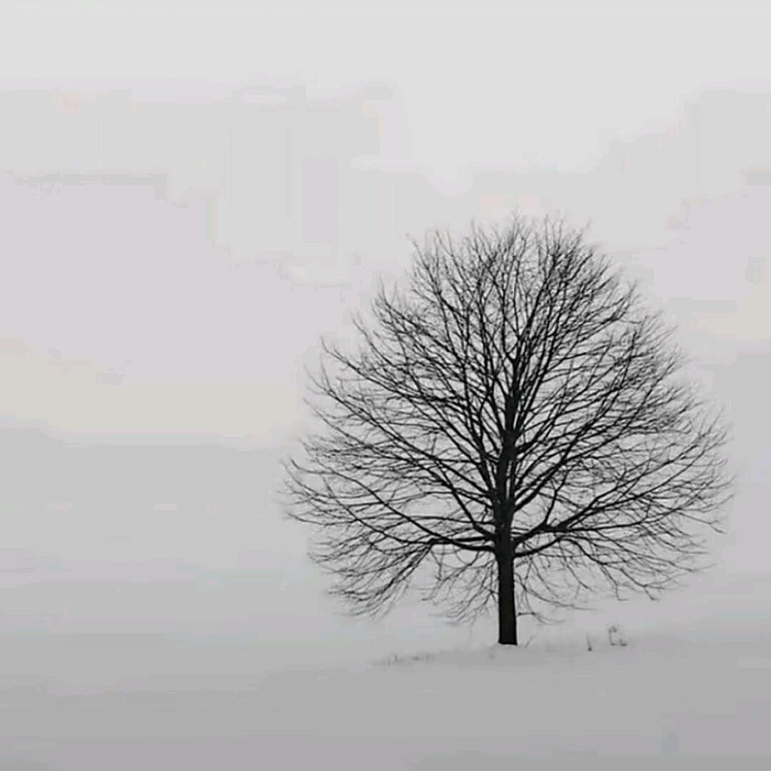 知名不具