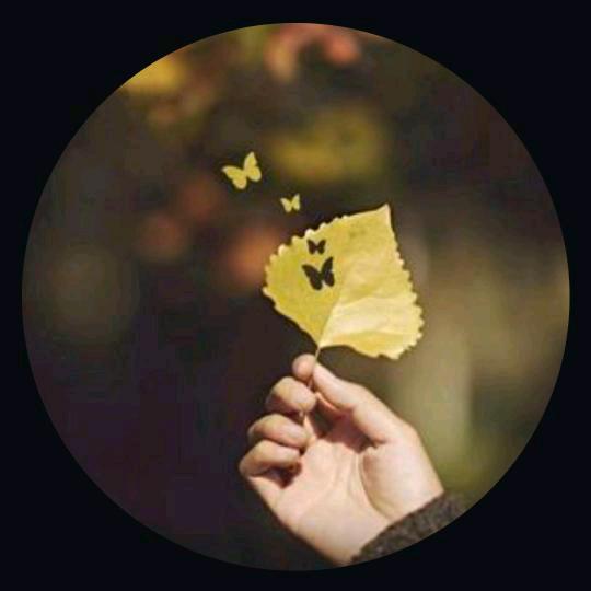 暗心☘️