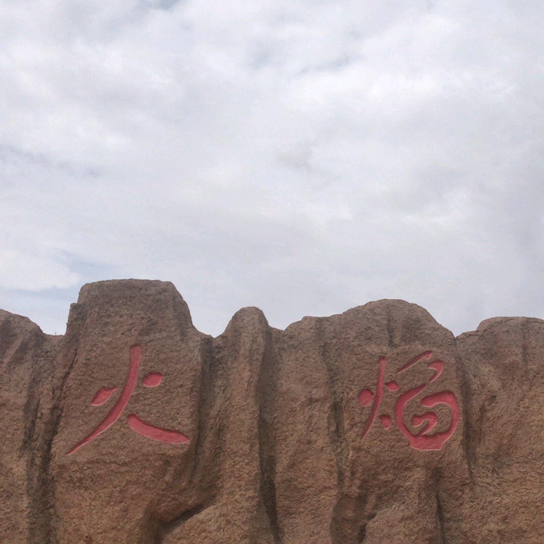 皮蛋