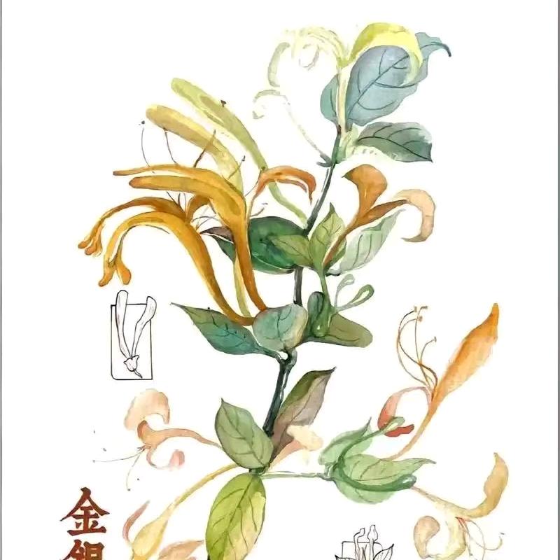 本草如是说