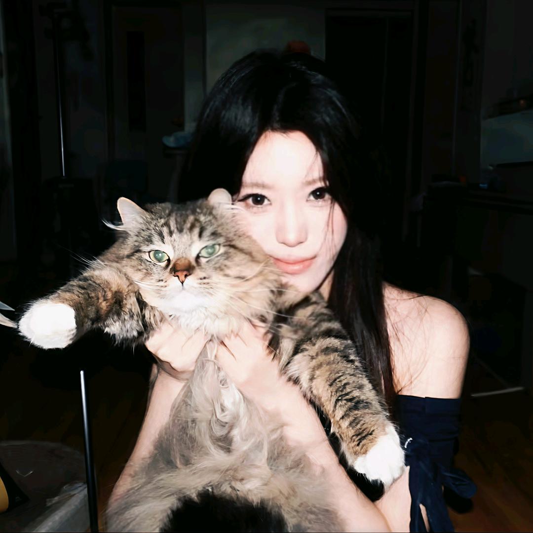 八分来财大吉大利好运连连万事如意心想事成