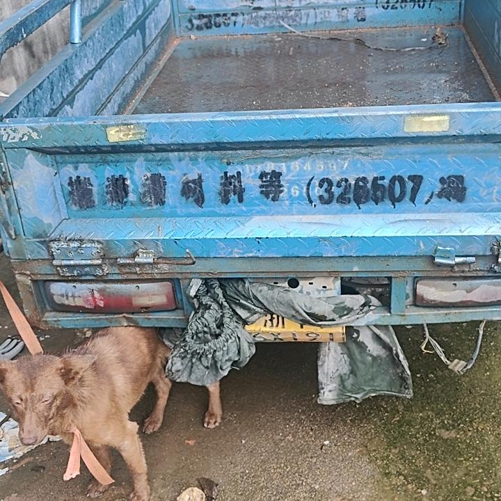 一眼看清这个世界