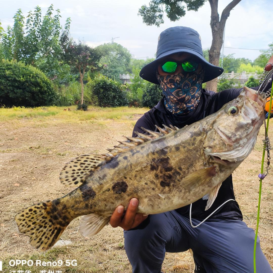🌈小刘同学🌈(天天跑鱼)