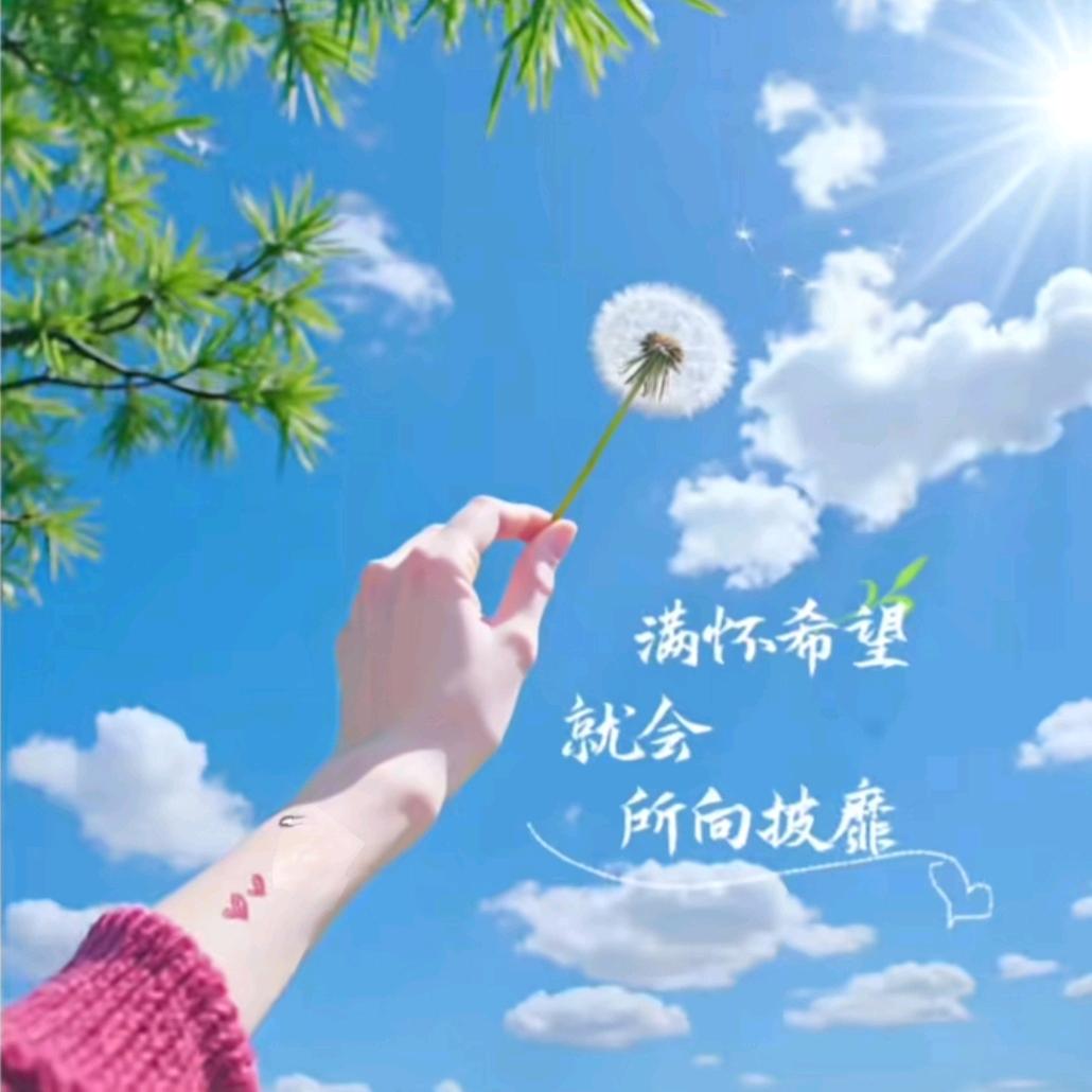 ࿐ᩚ憧憬࿐