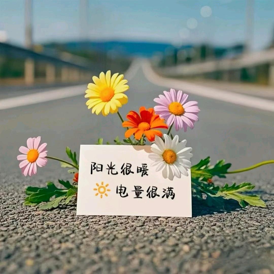睡眠艺术家👩🏻‍🎨