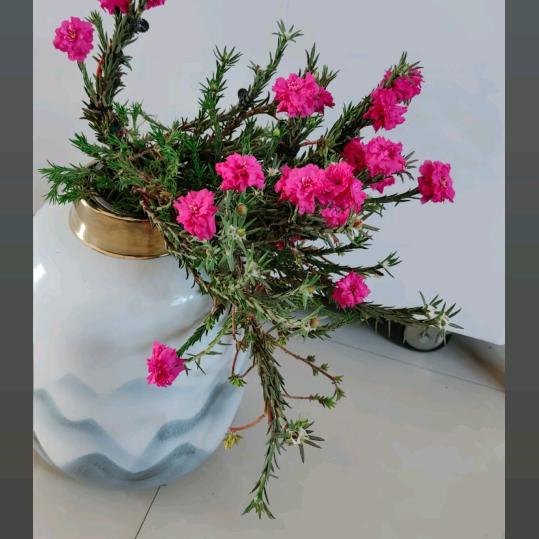 好运伴身边