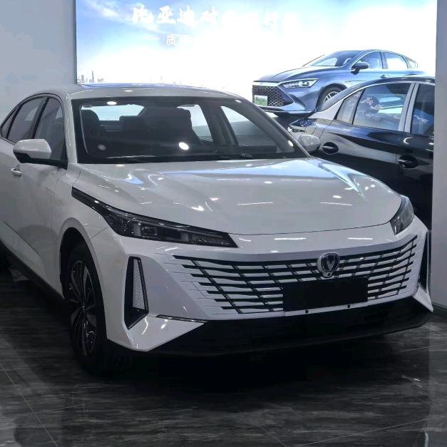 网约车老虎（哈尔滨）