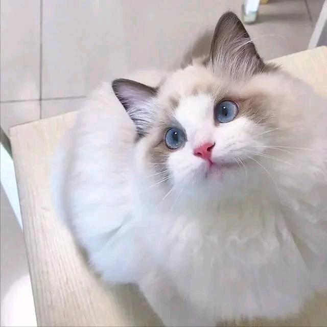 美好晴天🌞