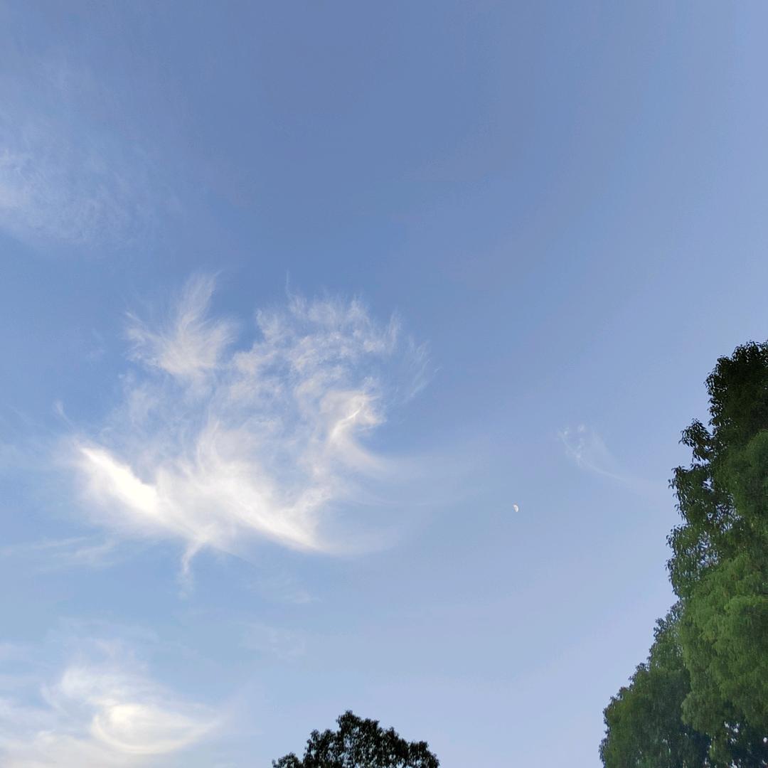 笑看云海