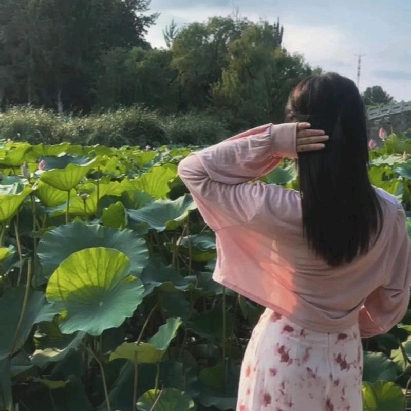 柠檬