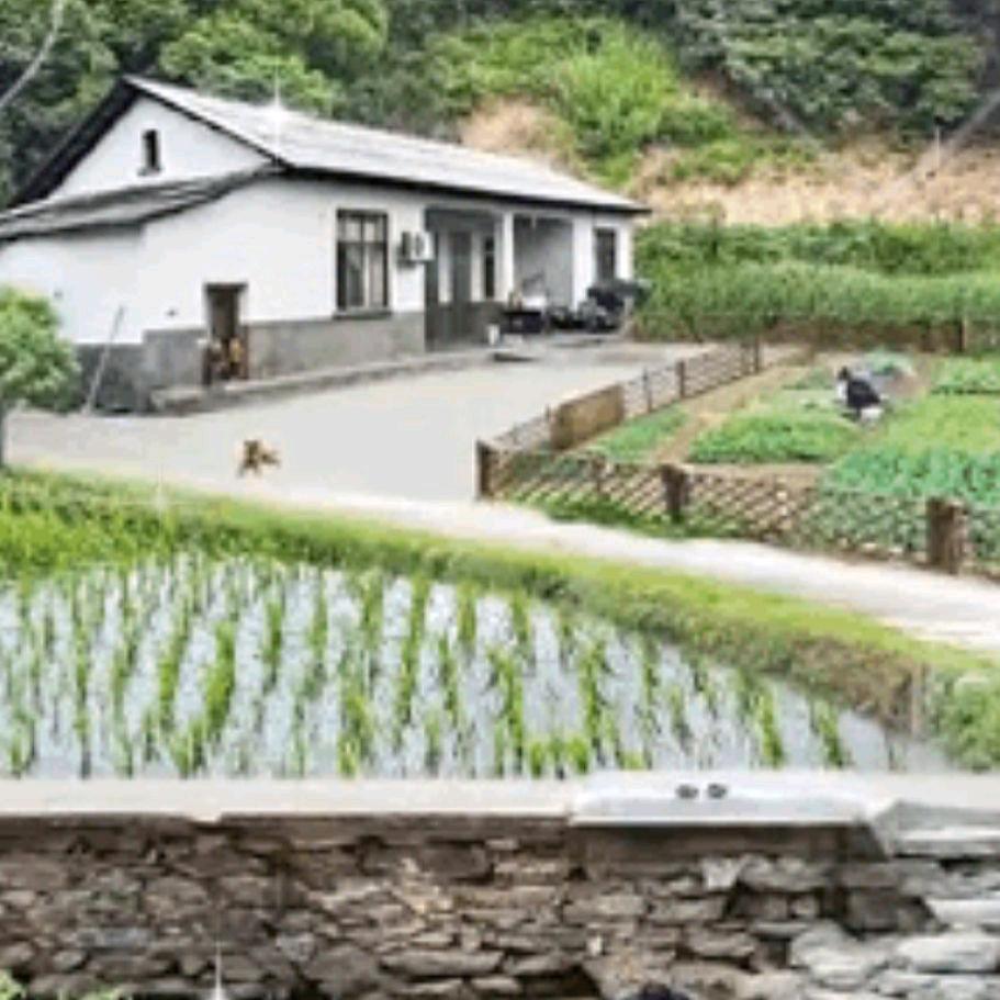 感恩遇见。
