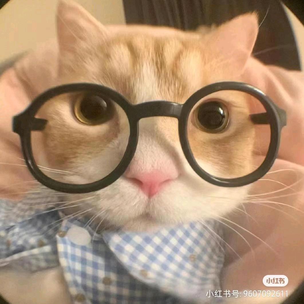 🌈小w堡堡