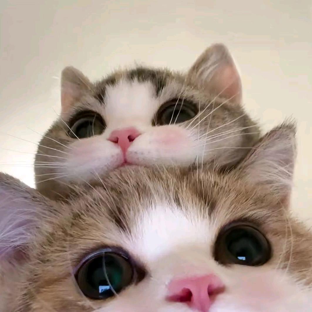 千 金🖤