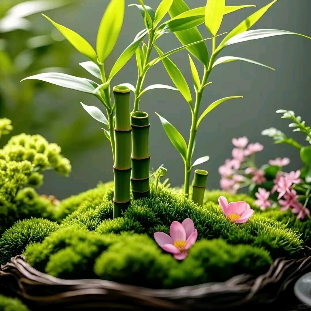 忘记过去