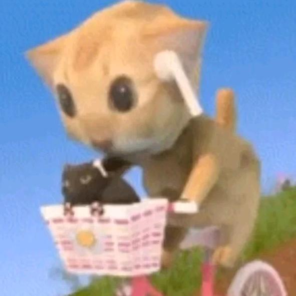 猫积极