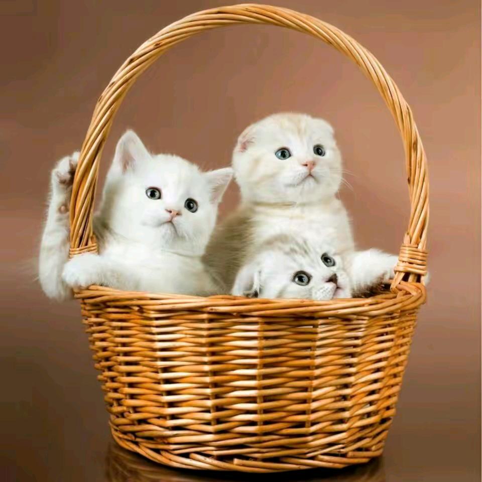 乡下人让心归零🌷🌷🌷