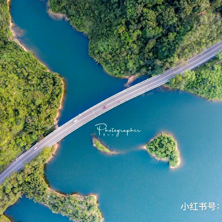 云中君（什么都谈）