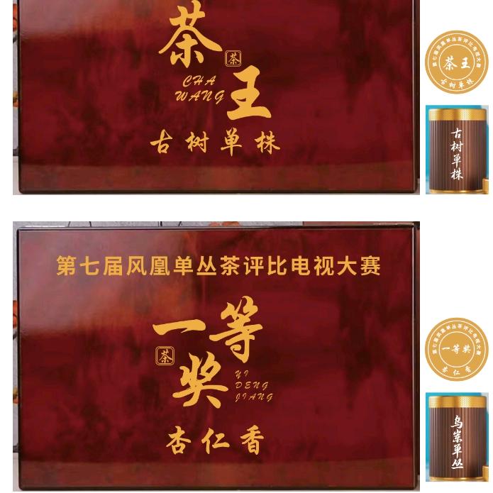 肥龙茶业