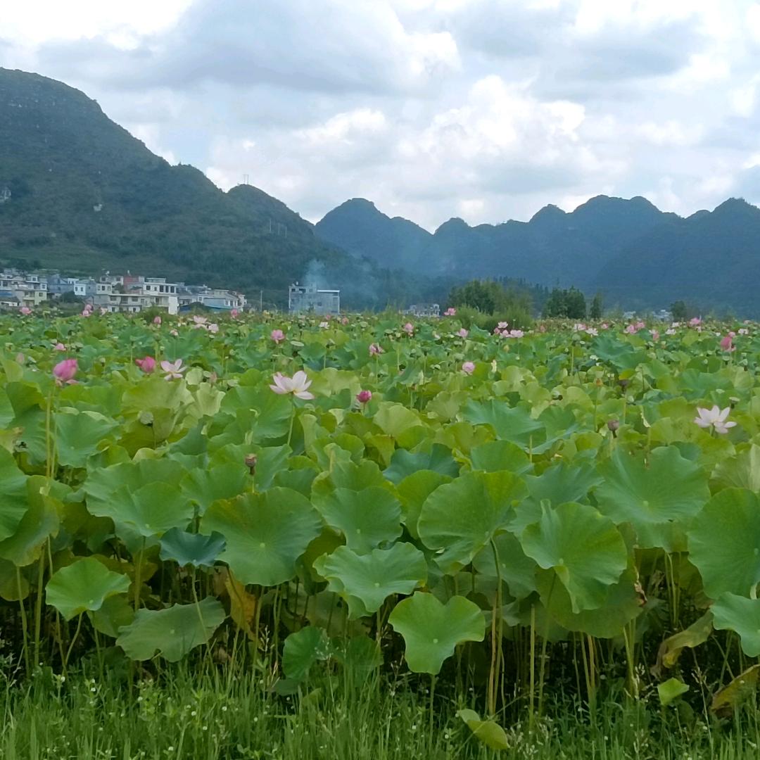 ღ᭄相逢໑ຼ₀₂5💕