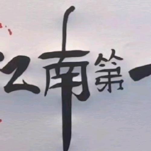 江南第一刹•神刹王专家门诊，(四轮定位)