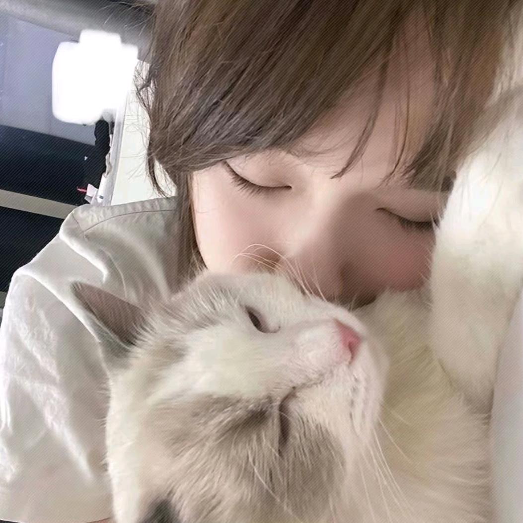 ✧云猫卷