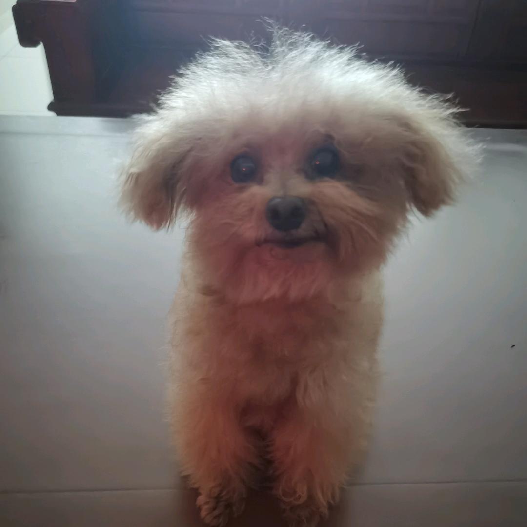 雅痞🐽⁰⁸.₀₈周℘࿐