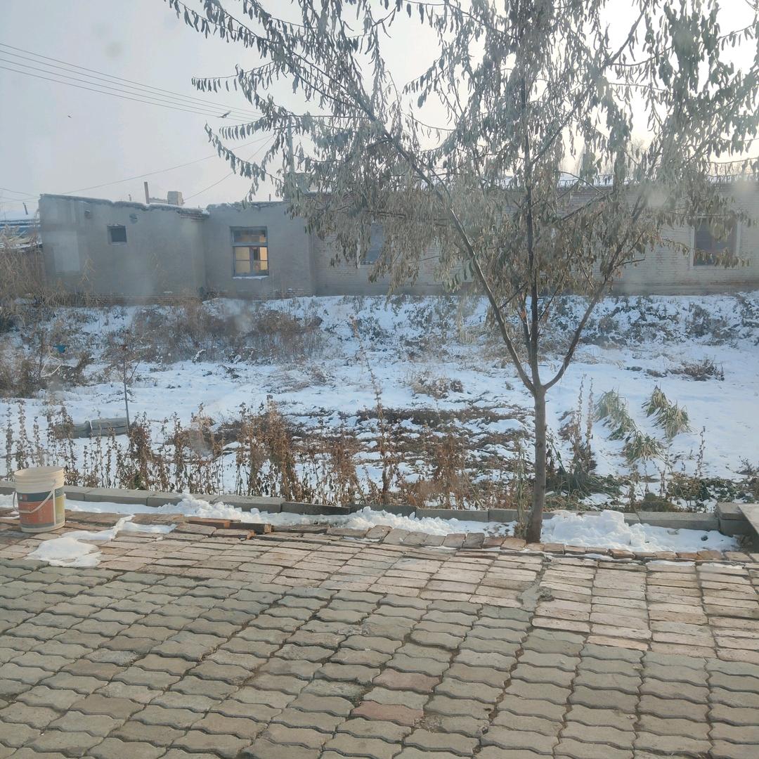 @马春伟