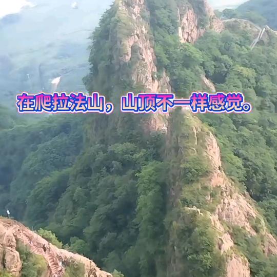 你戒情，我戒烟
